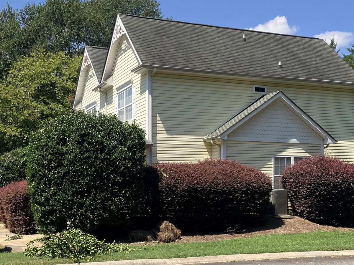 Side of a yellow two-story house with newly sheared evergreen and purple loropetalum shrubs and fresh clippings on the grass