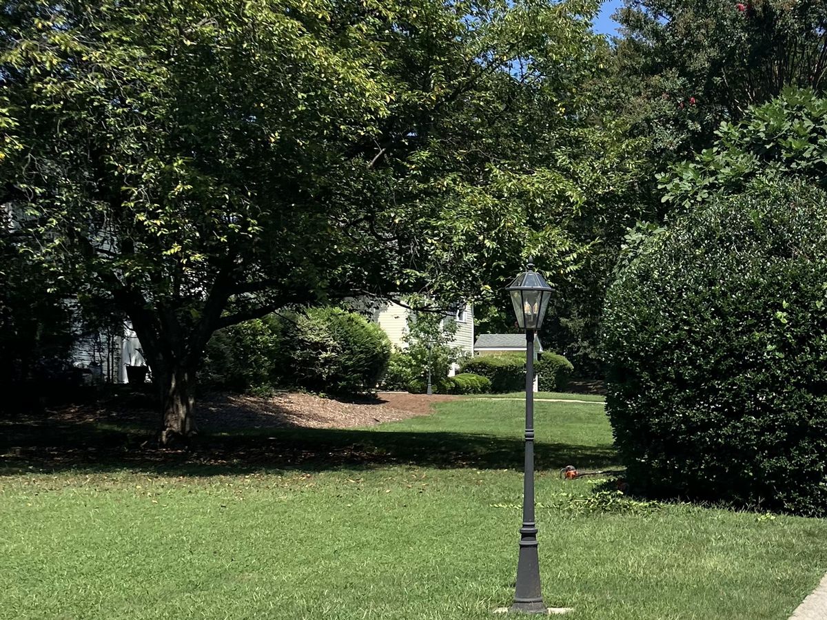 Mowed townhouse lawn under shade trees with a black lamp post and a freshly sheared round evergreen shrub