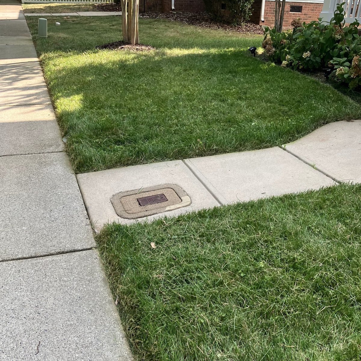 Freshly mowed green front lawn with crisp edges along a concrete sidewalk and walkway beside a hydrangea bed