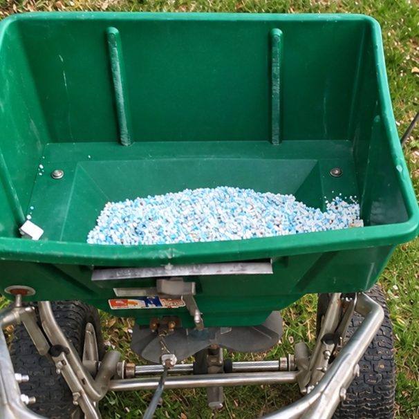 Green walk-behind spreader with a hopper of blue and white fertilizer granules on a lawn