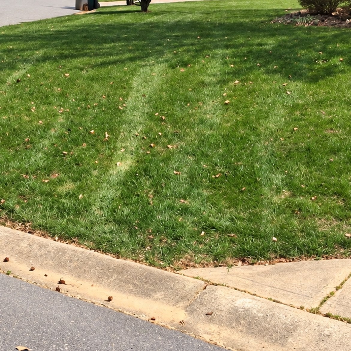 Mowed lawn at a street corner with a flowering tree, a fire hydrant and a stop sign at the left